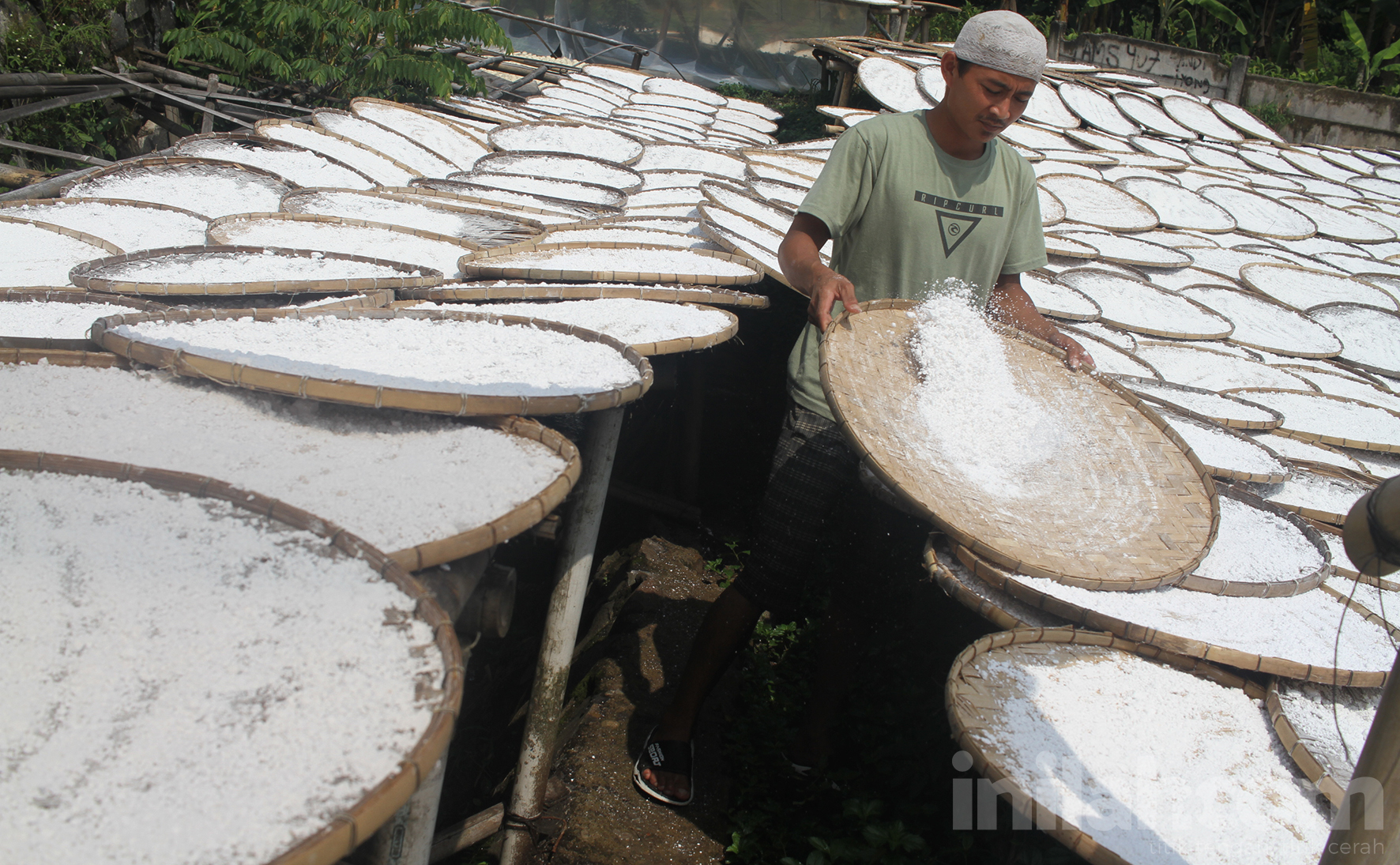 Pemanfaatan Teknologi untuk Kesuksesan Bisnis Mesin Disk Mill untuk Usaha Penepungan